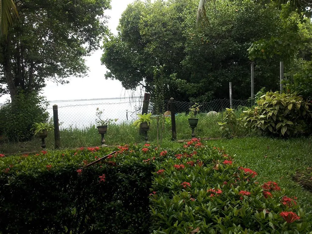 Vendégház Villa Rosita Negombo