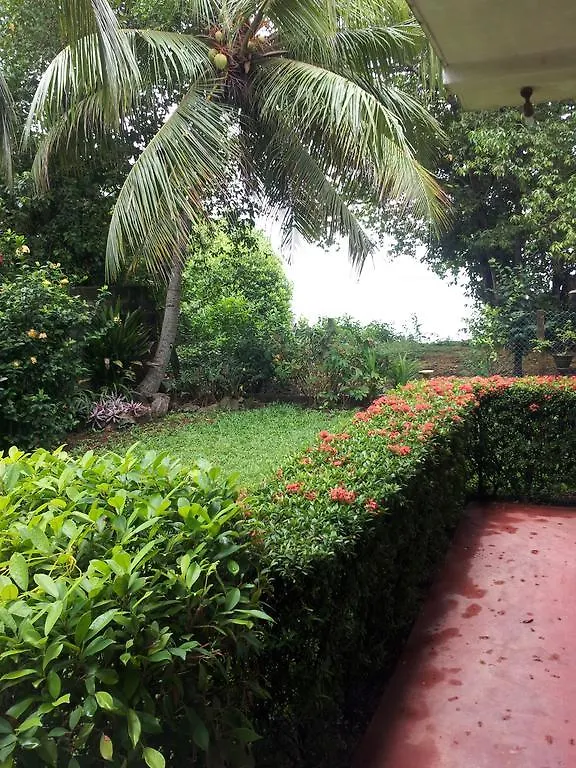 Villa Rosita Negombo 2*,