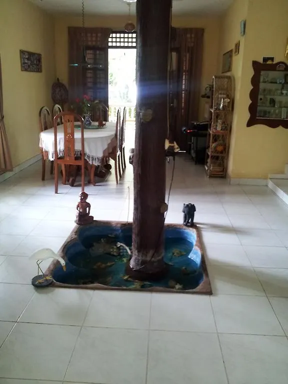 Villa Rosita Negombo Vendégház