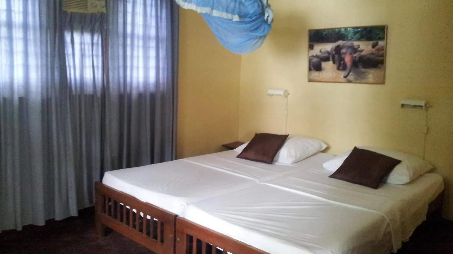 Villa Rosita Negombo